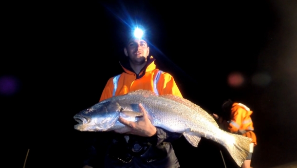 Over 20,000 trout cod were recently released into the Macquarie River at three locations downstream of Bathurst.